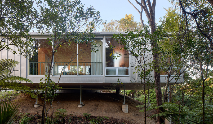 Bush Block, Titirangi | Window & Door Inspiration | High Quality ...