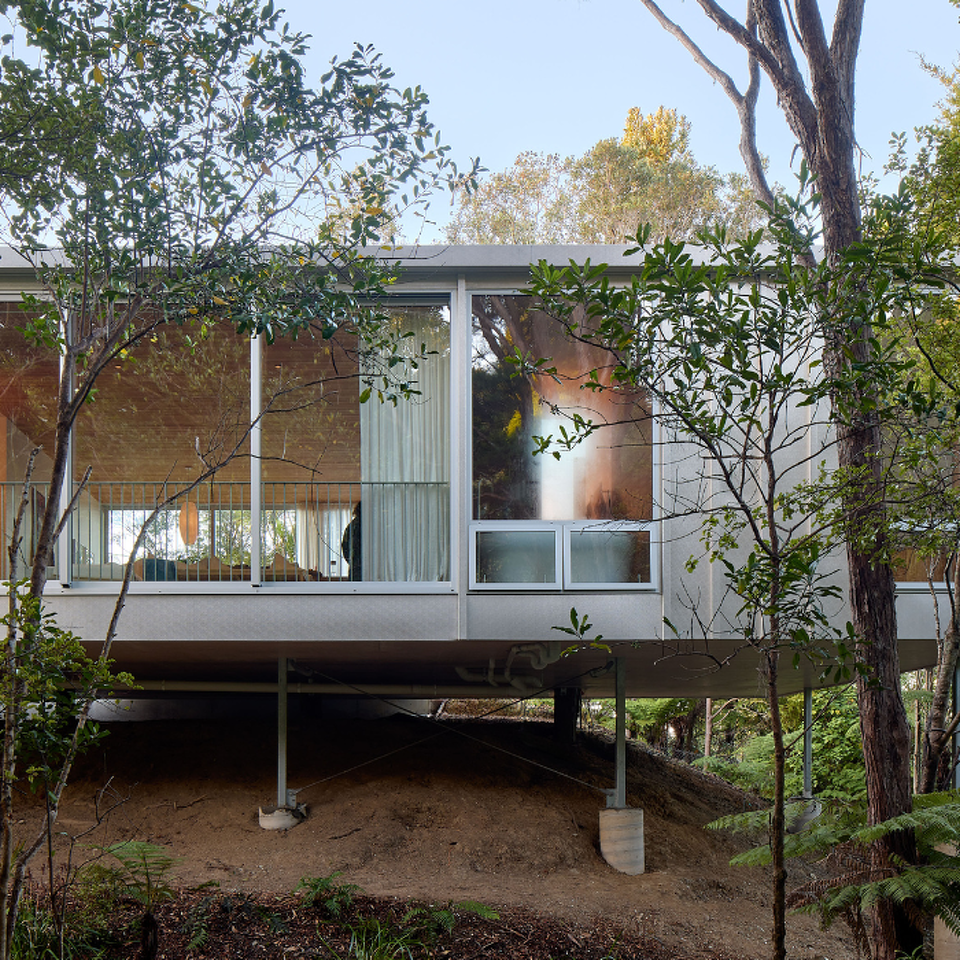 Bush Block, Titirangi