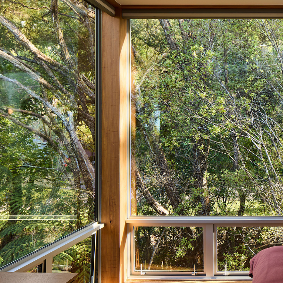 Bush Block, Titirangi