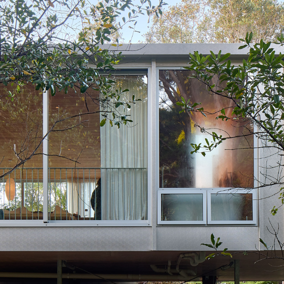 Bush Block, Titirangi