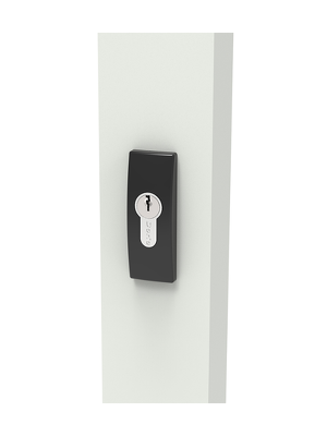 DS1253 Avon Escutcheon