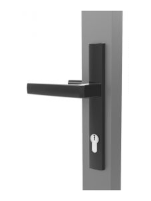 DS1650 Hinged Door Lock