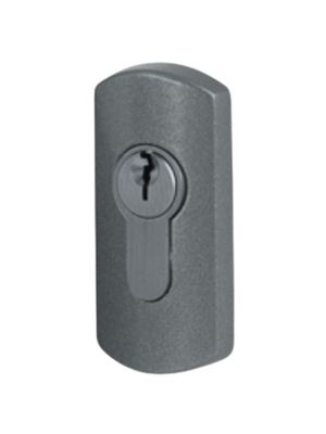 Escutcheon