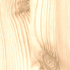 White Pine